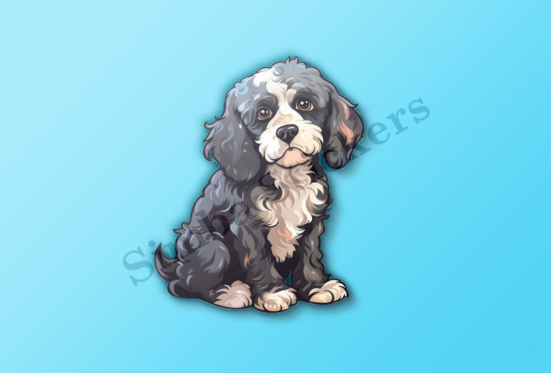 Black and white Cookapoo dog looking sad