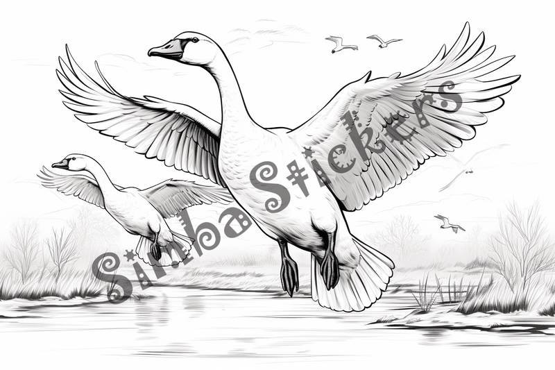 Colouring pages, bundle of geese flying, 10 images