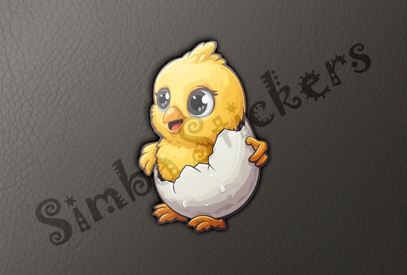 Cute Chick walking around in eggshell of birthday egg