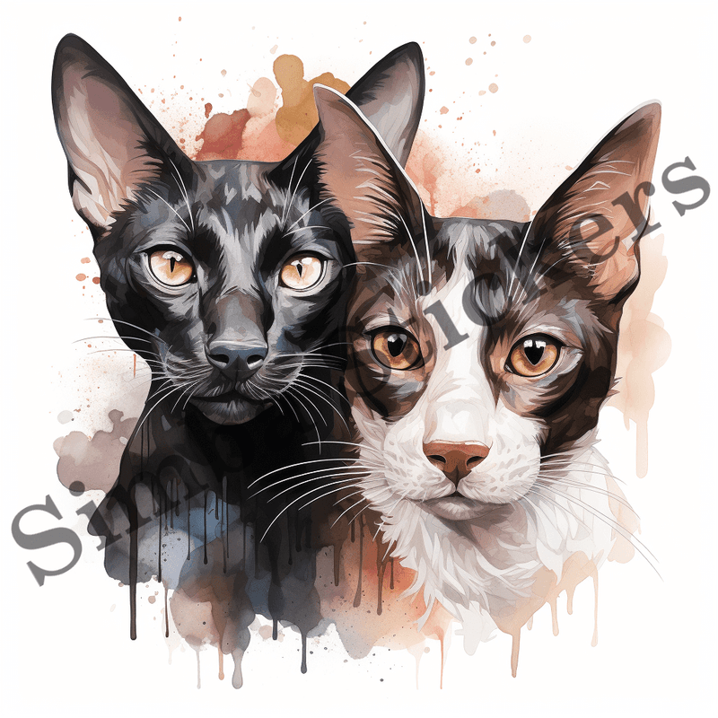 Oriental Shorthair cats, image set, 10 images