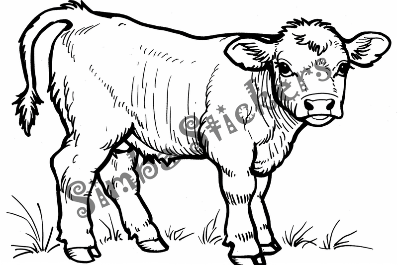 Colouring pages, bundle of cattle, 25 images