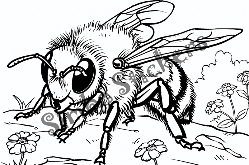 Colouring pages, bundle of single bees, 10 images