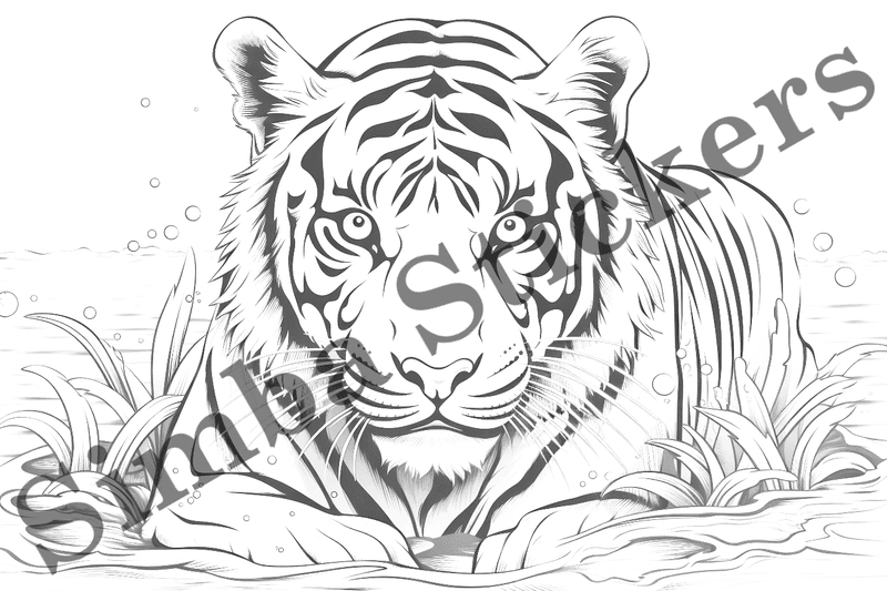 Colouring pages, bundle of tigers, 25 images