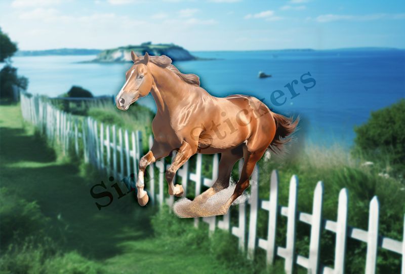 Brown horse , kicking up dust
