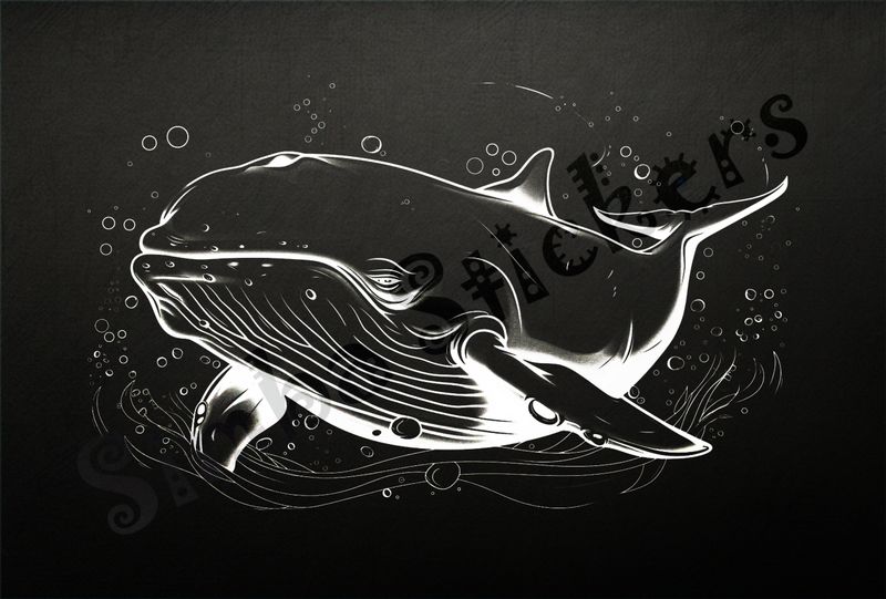 Whale smiling under water, outline art