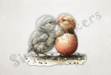 Chicks beak-to-beak, love at first sight