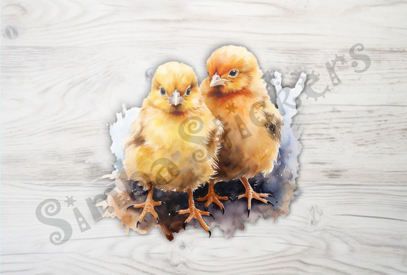 Two Chicks standing next to each other, watercolour