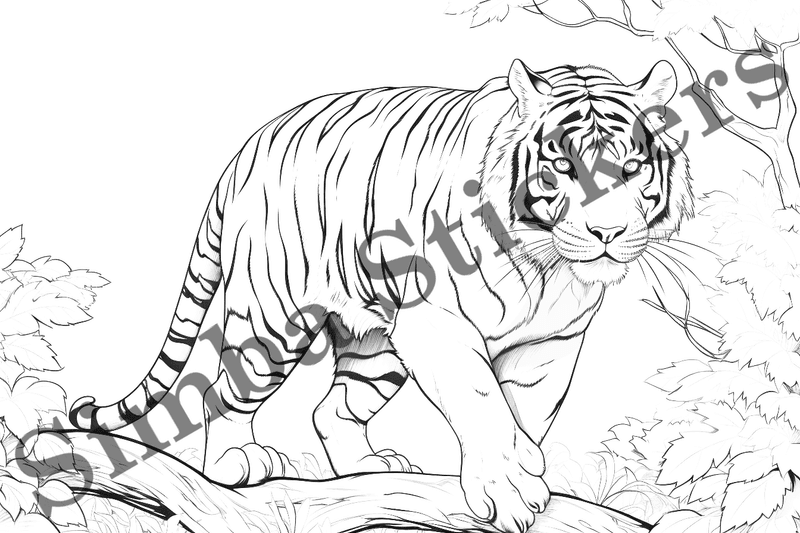Colouring pages, bundle of tigers, 25 images
