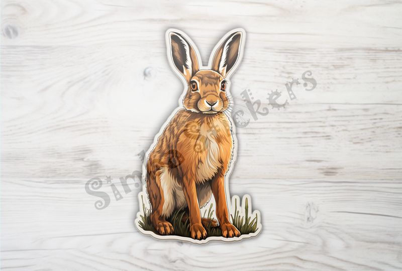 Hare ready to spring