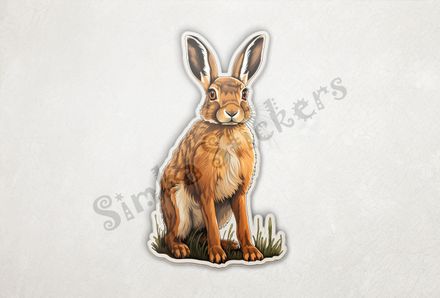 Hare ready to spring