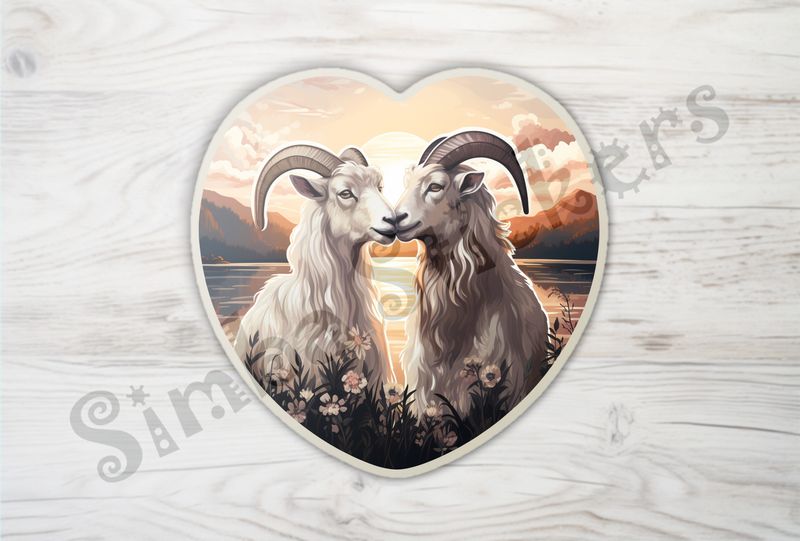 White goats nose-to-nose in love, sunset in background