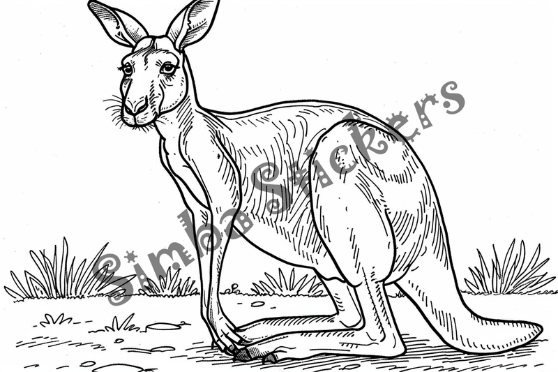 Colouring pages, Bundle of kangaroos, 10 images