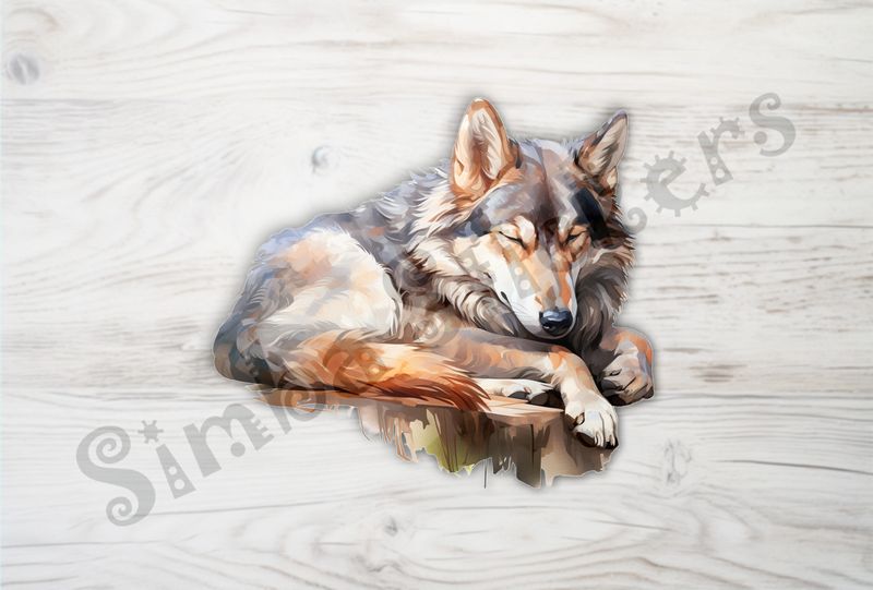 Wolf sleeping, watercolour