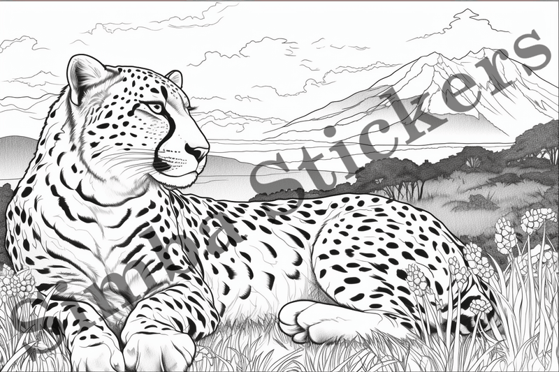 Colouring pages, Bundle of cheetahs, 25 images