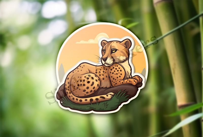 Young cheetah on a rock
