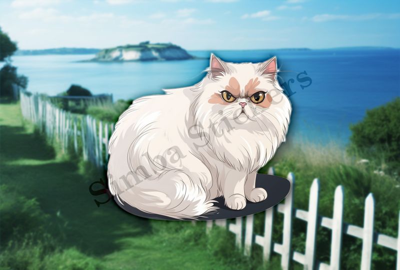 White Persian cat 