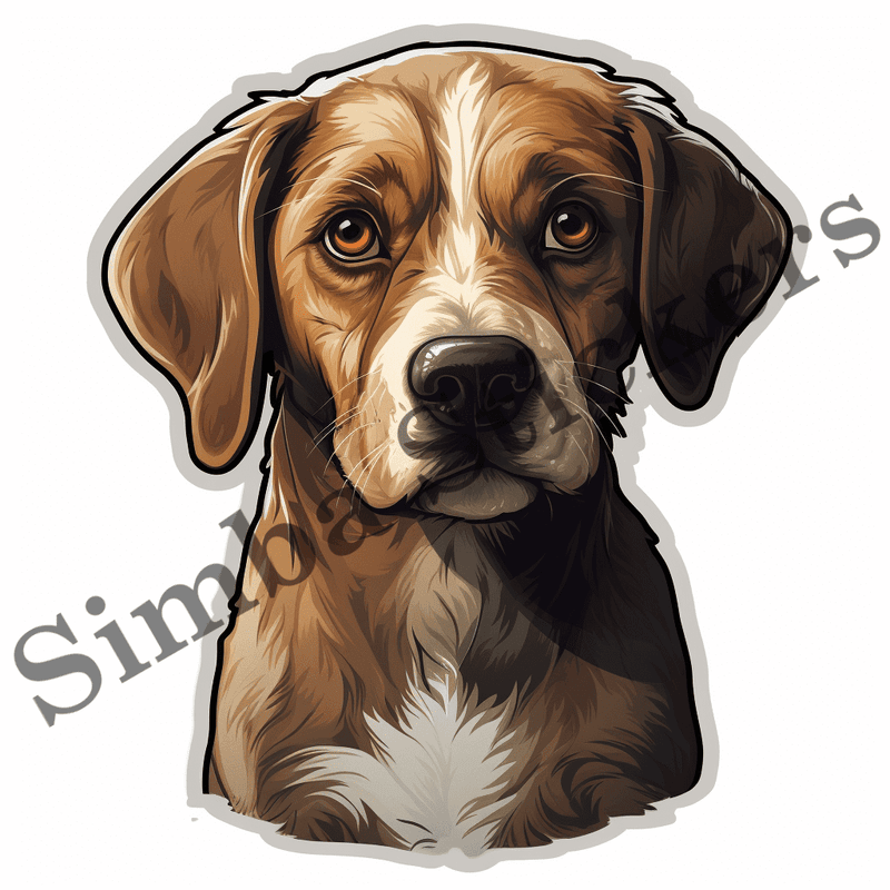 Dog looking sorry, image set, 10 images