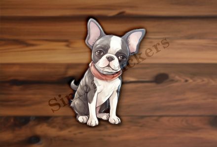 Boston Terrier dog with scarf, watercolour