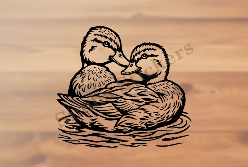 Ducks beak-to-beak in a pond, in partial-embrace, outline art