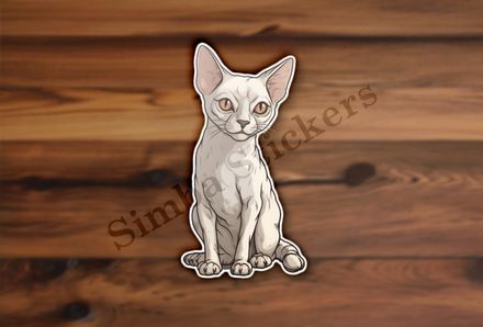 Devon Rex cat