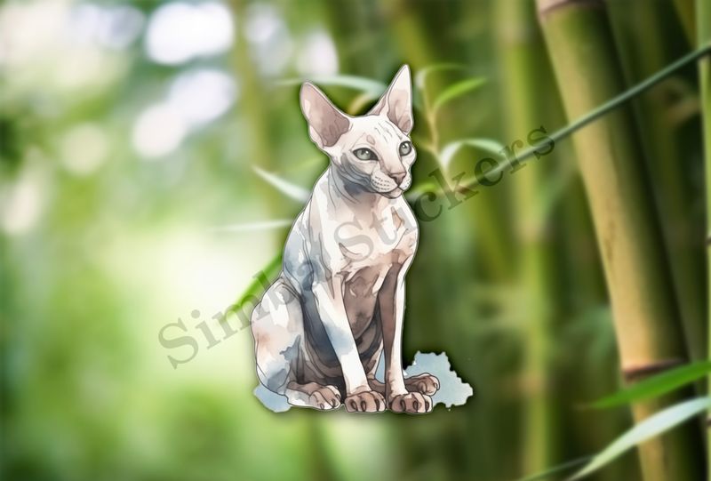 Sphynx cat sitting, watercolour