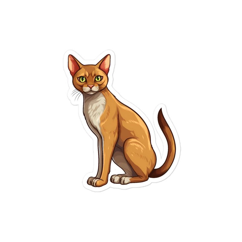 Sticker 4x4, Abyssinian Cat sitting down 