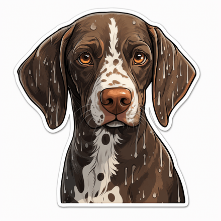 German Shorthaired Pointer dogs in the rain, image set, 10 images
