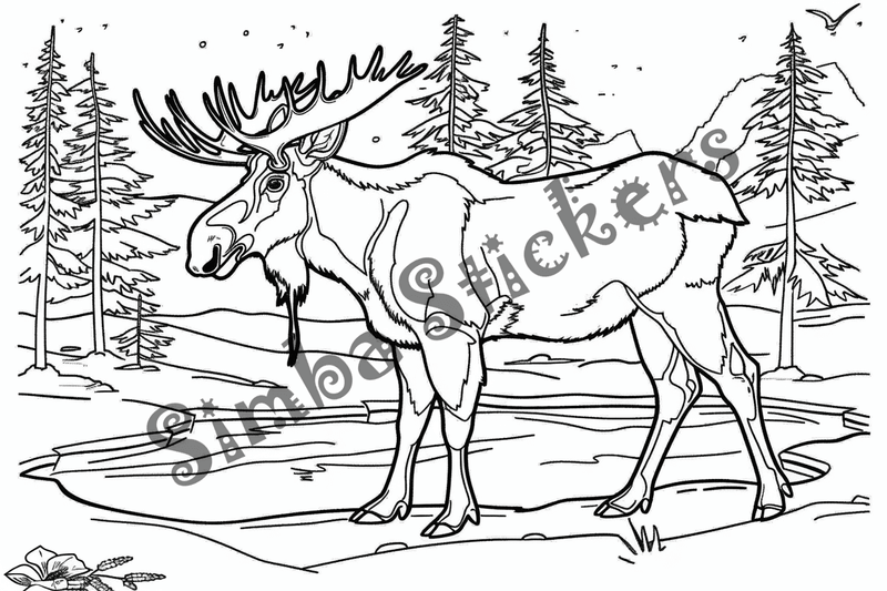 Colouring pages, Bundle of moose, 50 images
