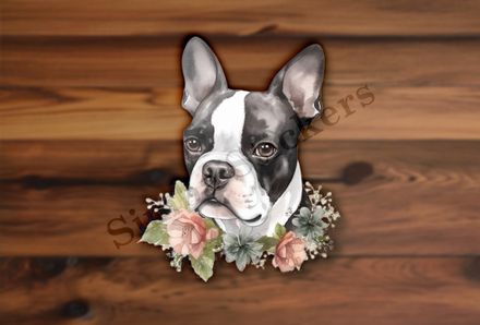 Boston Terrier dog face with flower collar, watercolour