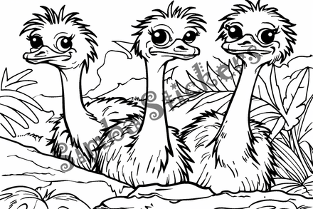 Colouring pages, bundle of multiple ostriches, 10 images