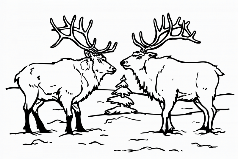 Colouring pages, bundle of elks, 25 images 2