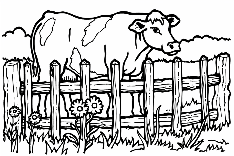 Colouring pages, bundle of cattle, 25 images