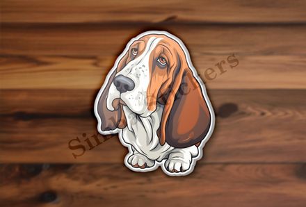 Basset Hound dog
