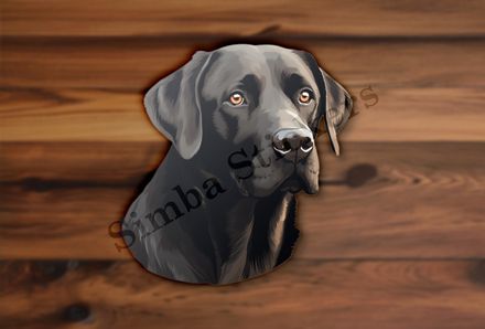 Black labrador dog face slightly turned