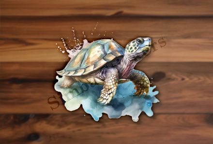 Tortoise walking, watercolour