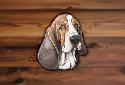 Basset Hound dog