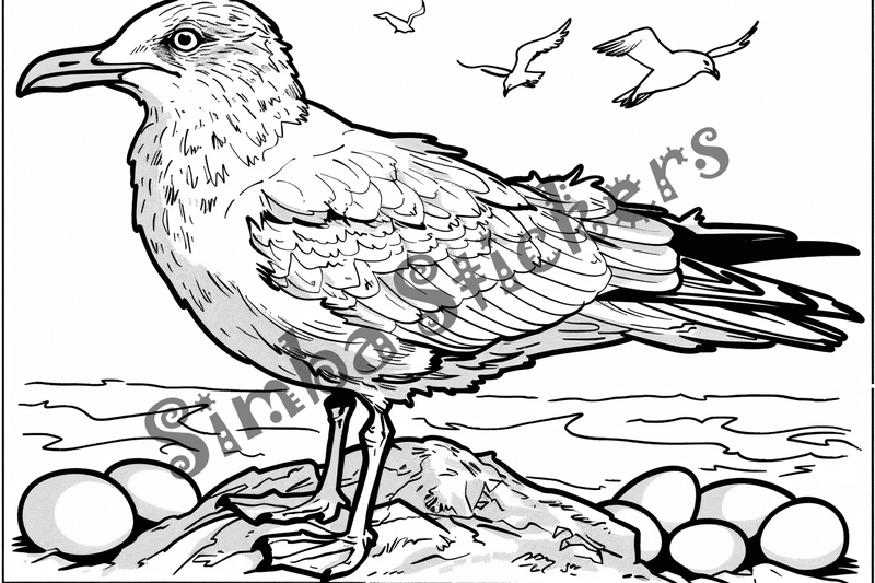 Colouring pages, bundle of seagulls, 25 images