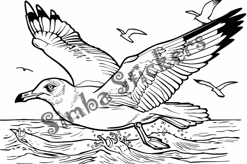 Colouring pages, bundle of seagulls, 50 images