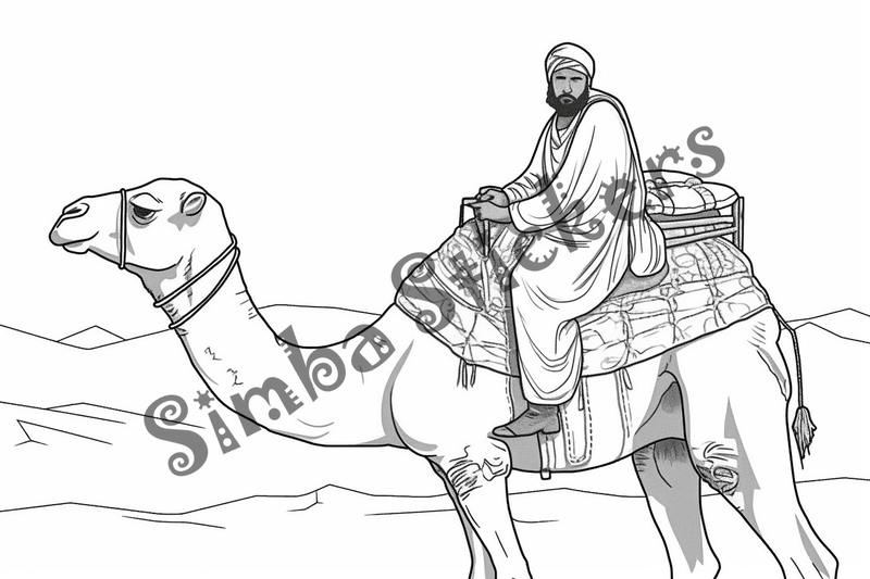 Colouring pages, bundle of camels, 25 images 2