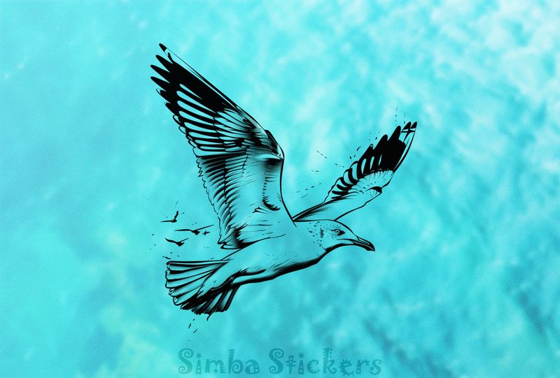 Seagull in flight, outline art, lf8vfb