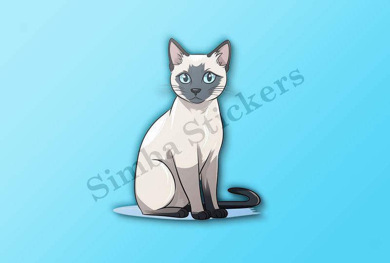 Siamese cat   