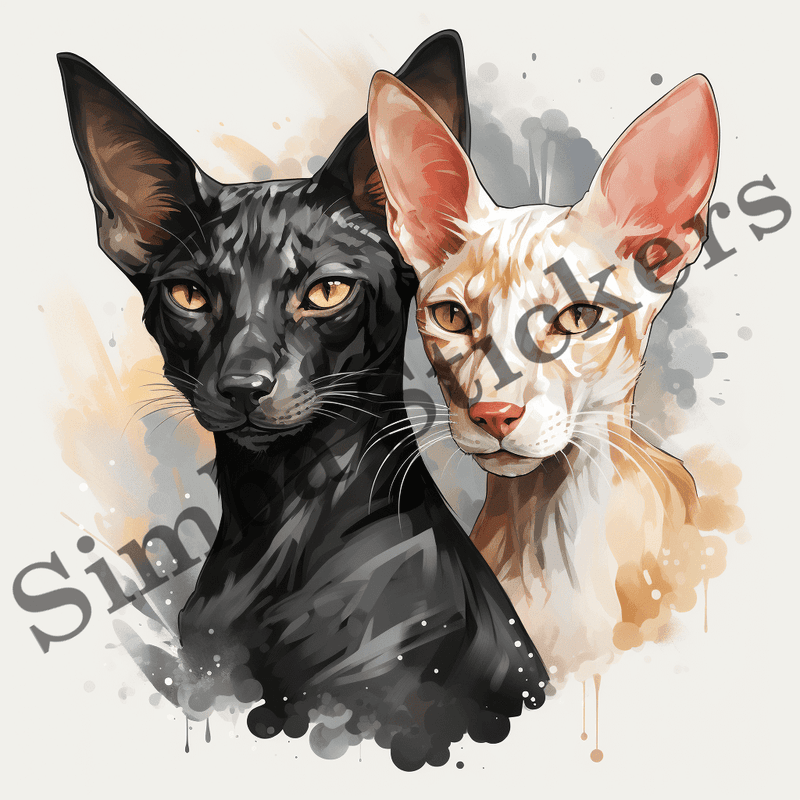 Oriental Shorthair cats, image set, 10 images