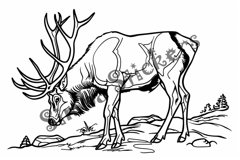 Colouring pages, bundle of elks, 10 images