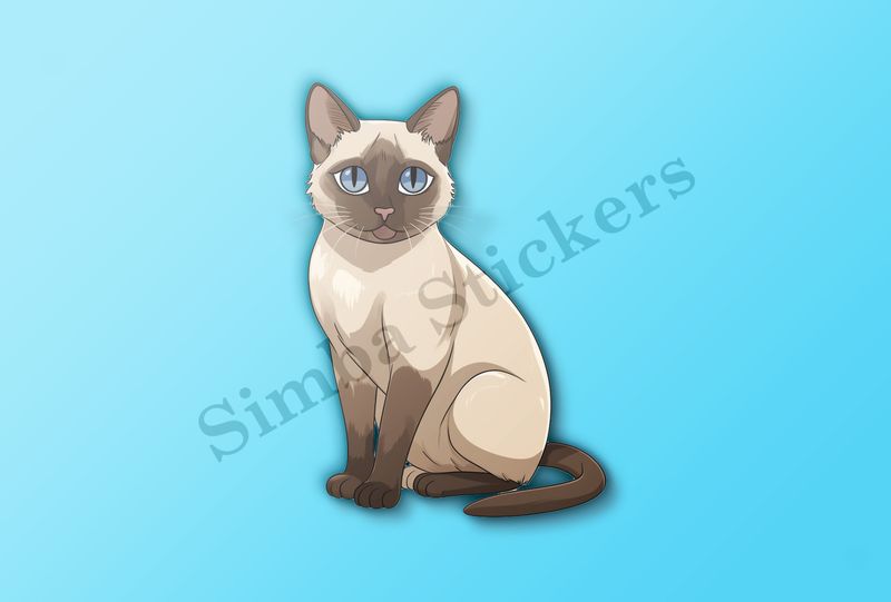 Siamese cat   