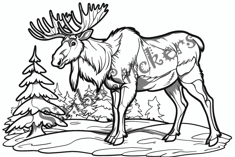 Colouring pages, Bundle of moose, 25 images