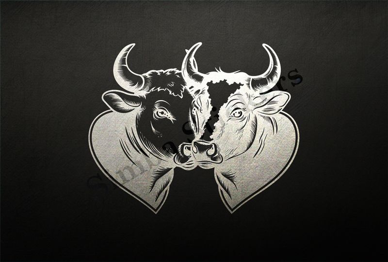 Cattle,  cheek-to-cheek, one black, one white, horns locked, outline art