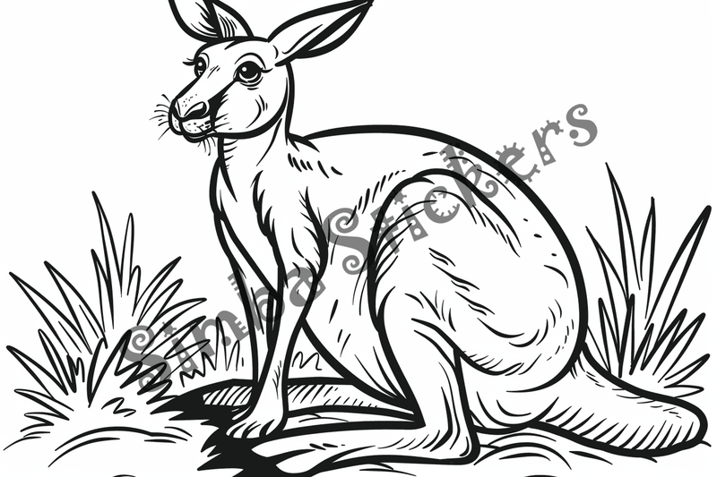 Colouring pages, Bundle of kangaroos, 25 images