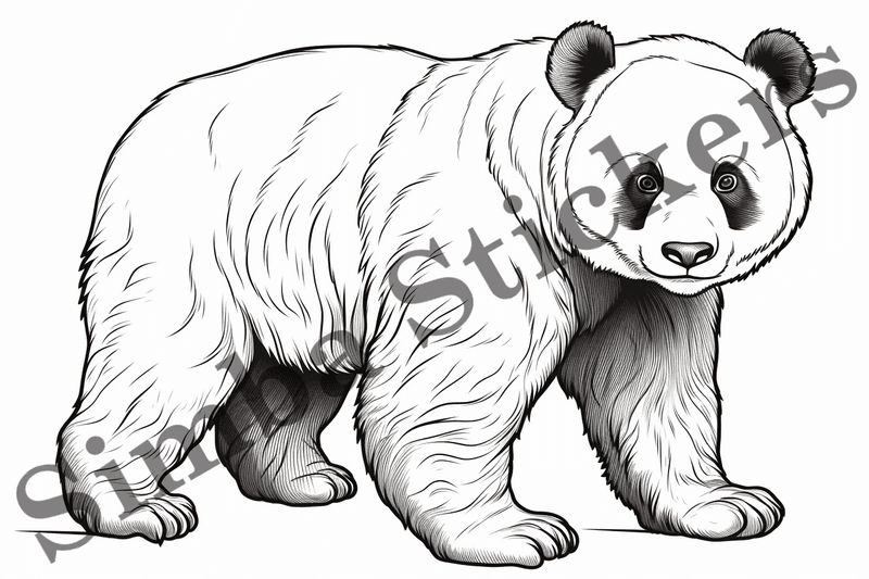 Colouring pages, bundle of pandas, 25 images, ldtg6c