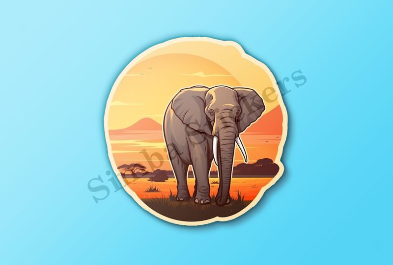 African elephant at sunrise