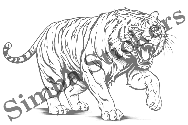 Colouring pages, bundle of tigers, 25 images